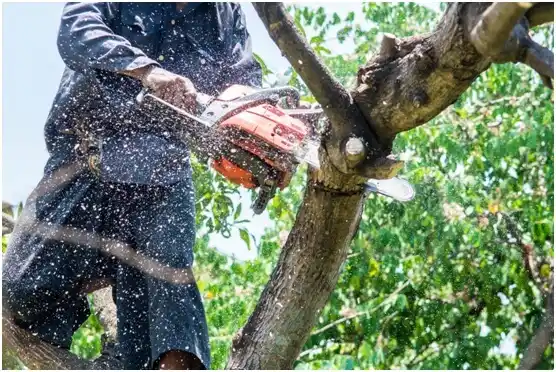 tree services State Line